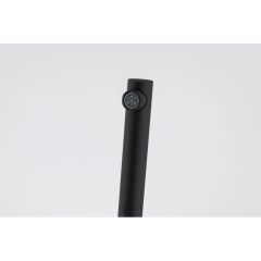 Franke Lina L Doccia Matt Black Armatür